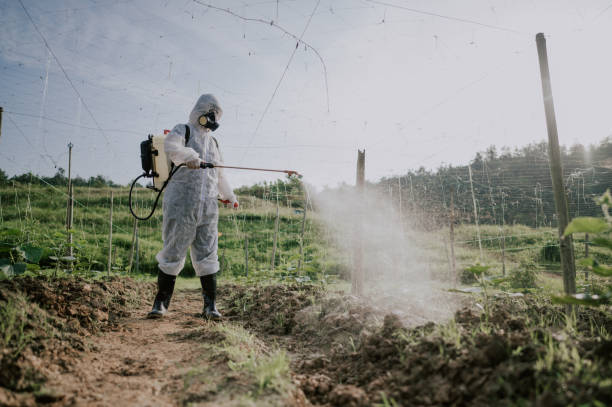 Best Best Pest Control Companies  in Knightstown, IN