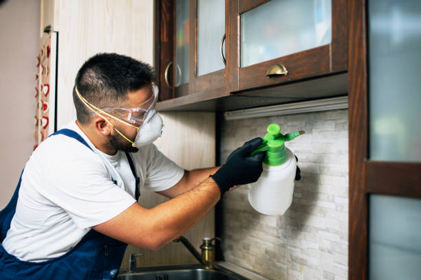 Best Affordable Pest Control Services  in Knightstown, IN