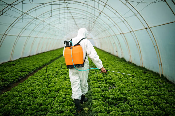 Professional Pest Control in Knightstown, IN