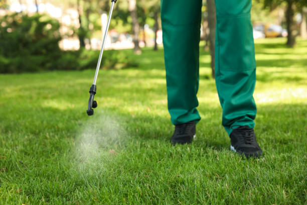 Best Insect Control  in Knightstown, IN