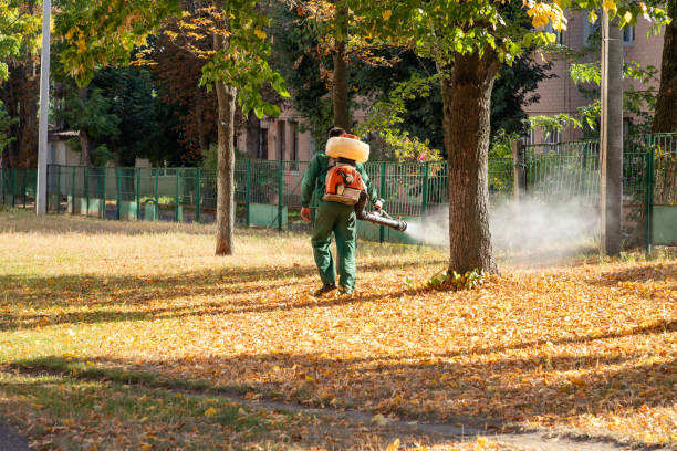 Best Rat Extermination Near Me  in Knightstown, IN