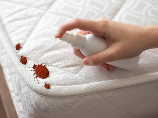 Best Commercial Pest Control Services  in Knightstown, IN