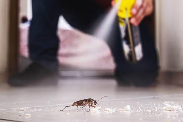 Best Mosquito Control Services  in Knightstown, IN